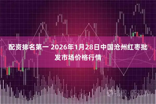 配资排名第一 2026年1月28日中国沧州红枣批发市场价格行情
