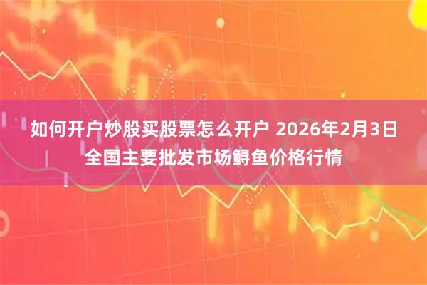 如何开户炒股买股票怎么开户 2026年2月3日全国主要批发市场鲟鱼价格行情