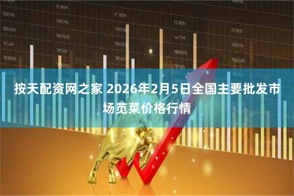 按天配资网之家 2026年2月5日全国主要批发市场苋菜价格行情
